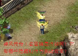 神风传奇王者盾牌属性如何?它有哪些隐藏特性与实战效果? 神风传奇王者盾牌属性如何?它有哪些隐藏特性与实战效果?