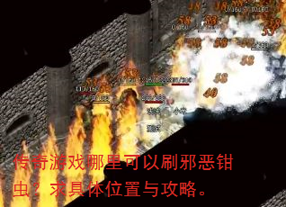 传奇游戏哪里可以刷邪恶钳虫?求具体位置与攻略。 传奇游戏哪里可以刷邪恶钳虫?求具体位置与攻略。