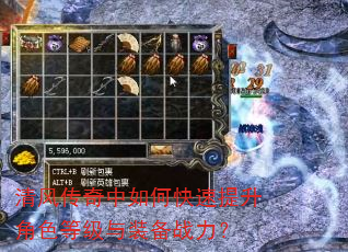 ��紫������ο���������ɫ�ȼ���װ��ս����