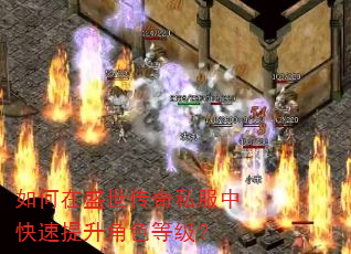 如何在盛世传奇私服中快速提升角色等级? 如何在盛世传奇私服中快速提升角色等级?