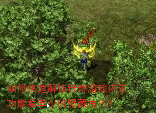 如何快速解锁传奇游戏内置功能菜单中的隐藏角色? 如何快速解锁传奇游戏内置功能菜单中的隐藏角色?