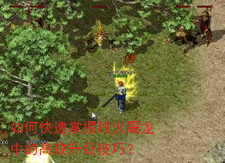 如何快速掌握烈火屠龙中的高效升级技巧? 如何快速掌握烈火屠龙中的高效升级技巧?