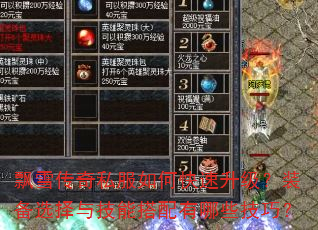 飘雪传奇私服如何快速升级?装备选择与技能搭配有哪些技巧? 飘雪传奇私服如何快速升级?装备选择与技能搭配有哪些技巧?