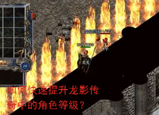 如何快速提升龙影传奇中的角色等级? 如何快速提升龙影传奇中的角色等级?