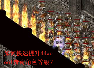 如何快速提升44woool传奇角色等级? 如何快速提升44woool传奇角色等级?