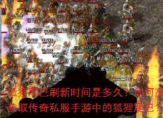 狐狸尾巴刷新时间是多久?如何高效获取传奇私服手游中的狐狸尾巴? 狐狸尾巴刷新时间是多久?如何高效获取传奇私服手游中的狐狸尾巴?