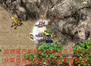 狐狸尾巴刷新时间是多久?如何高效获取传奇私服手游中的狐狸尾巴? 狐狸尾巴刷新时间是多久?如何高效获取传奇私服手游中的狐狸尾巴?