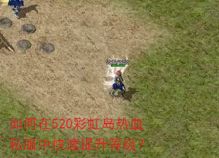 如何在520彩虹岛热血私服中快速提升等级? 如何在520彩虹岛热血私服中快速提升等级?