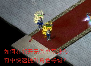 ������¿���ɱ��ְҵ�����п���������ɫ�ȼ���