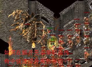 ������¿���ɱ��ְҵ�����п���������ɫ�ȼ���