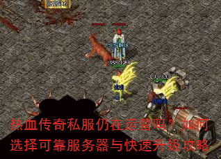 热血传奇私服仍在运营吗?如何选择可靠服务器与快速升级攻略 热血传奇私服仍在运营吗?如何选择可靠服务器与快速升级攻略