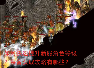 如何快速提升新服角色等级?装备获取攻略有哪些? 如何快速提升新服角色等级?装备获取攻略有哪些?