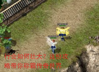 行会如何壮大?这份攻略带你称霸传奇世界 行会如何壮大?这份攻略带你称霸传奇世界