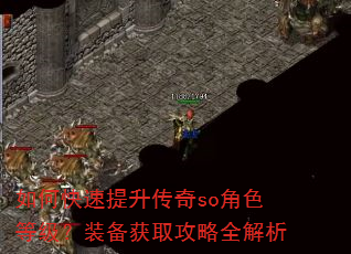 如何快速提升传奇so角色等级?装备获取攻略全解析 如何快速提升传奇so角色等级?装备获取攻略全解析