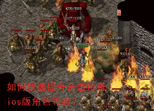 如何快速提升合击传奇ios版角色等级? 如何快速提升合击传奇ios版角色等级?