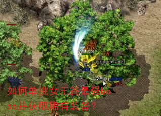 如何单挑女王谷最强boss并获取稀有装备? 如何单挑女王谷最强boss并获取稀有装备?
