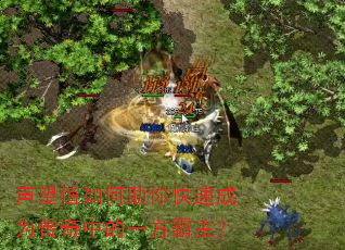 声望值如何助你快速成为传奇中的一方霸主? 声望值如何助你快速成为传奇中的一方霸主?