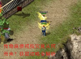 传奇麻痹戒指究竟从何而来?获取攻略全解析 传奇麻痹戒指究竟从何而来?获取攻略全解析