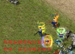 传奇麻痹戒指究竟从何而来?获取攻略全解析 传奇麻痹戒指究竟从何而来?获取攻略全解析