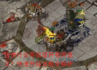 传奇行会等级提升有何意义?快速升级攻略全解析 传奇行会等级提升有何意义?快速升级攻略全解析