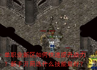 单职业新区如何快速提升战力?新手开局选什么技能最好? 单职业新区如何快速提升战力?新手开局选什么技能最好?