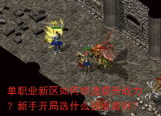单职业新区如何快速提升战力?新手开局选什么技能最好? 单职业新区如何快速提升战力?新手开局选什么技能最好?