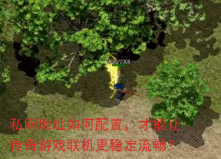 私网地址如何配置,才能让传奇游戏联机更稳定流畅? 私网地址如何配置,才能让传奇游戏联机更稳定流畅?