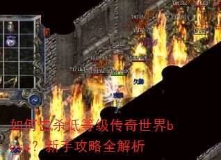 如何击杀低等级传奇世界boss?新手攻略全解析 如何击杀低等级传奇世界boss?新手攻略全解析