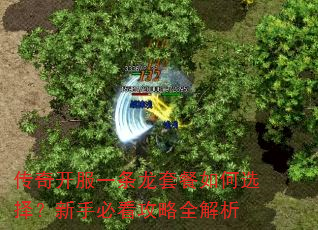 传奇开服一条龙套餐如何选择?新手必看攻略全解析 传奇开服一条龙套餐如何选择?新手必看攻略全解析